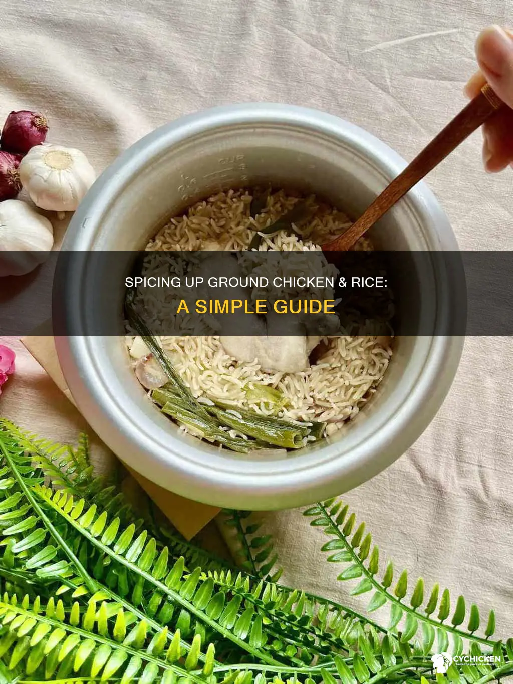 how to season a ground chicken and rice dish