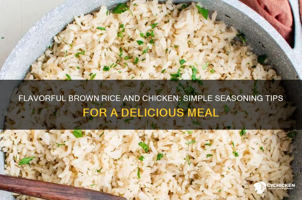 how to season brown rice and chicken