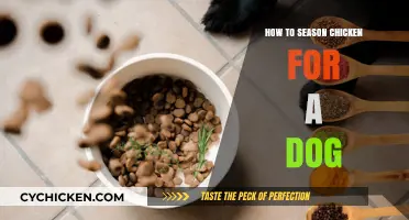 Safe and Flavorful Chicken Seasoning Tips for Your Dog's Diet