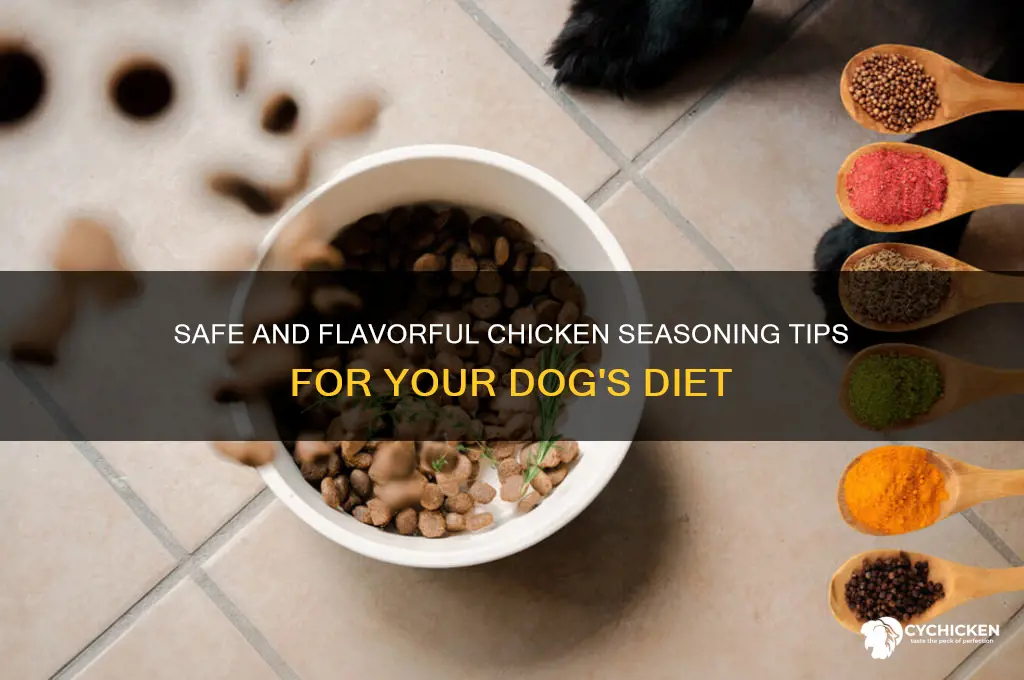 how to season chicken for a dog