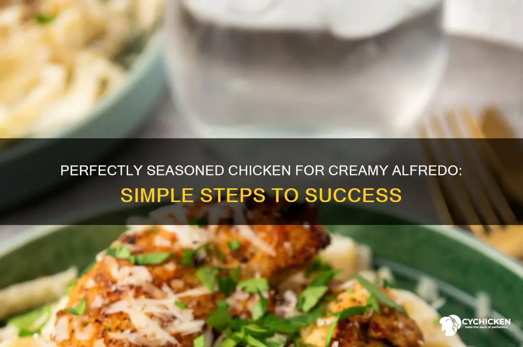 how to season chicken for alfredo easy