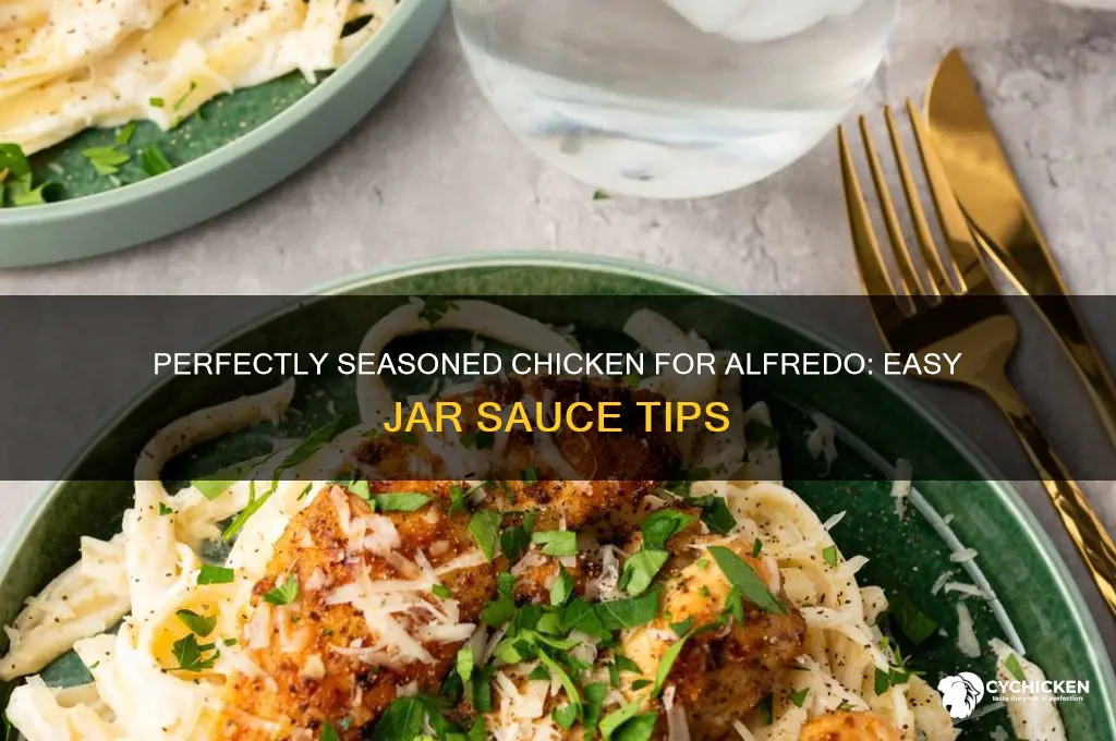 how to season chicken for alfredo with jar sauce