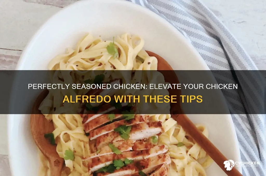 how to season chicken for chicken alfredo
