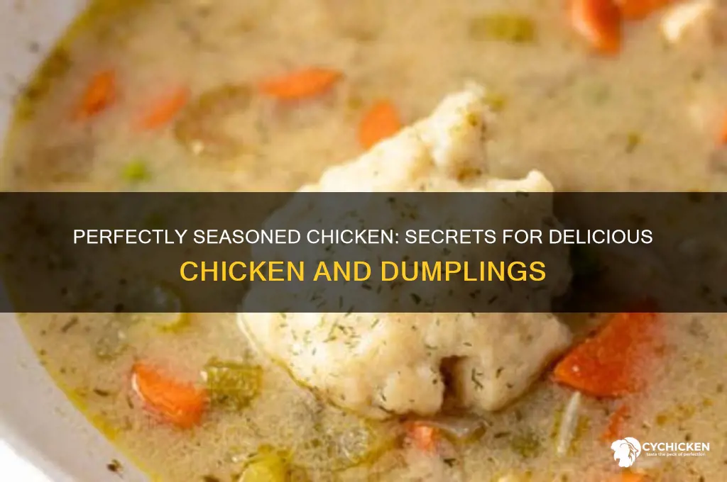 how to season chicken for chicken and dumplings