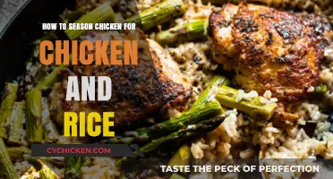 Perfectly Seasoned Chicken: Elevate Your Chicken and Rice Dish
