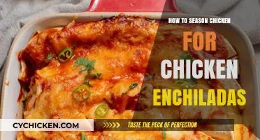 Perfectly Seasoned Chicken: Mastering Flavor for Delicious Chicken Enchiladas