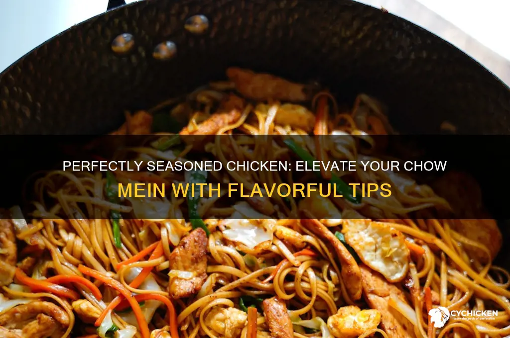 how to season chicken for chow mein