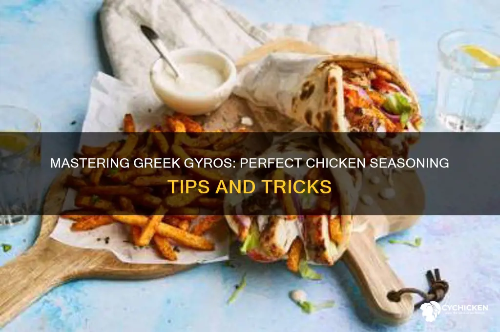 how to season chicken for greek gyros