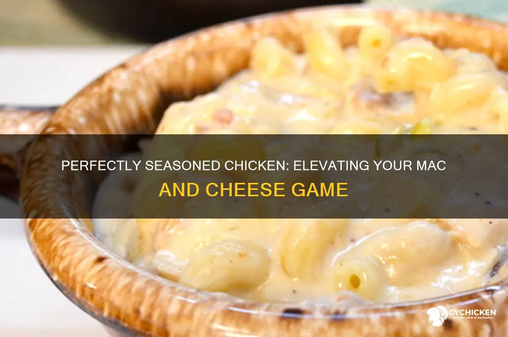 how to season chicken for mac and cheese