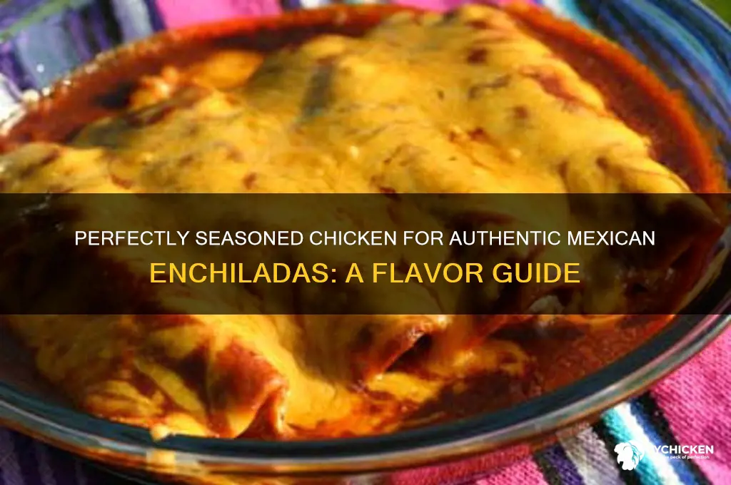 how to season chicken for mexican enchalidias