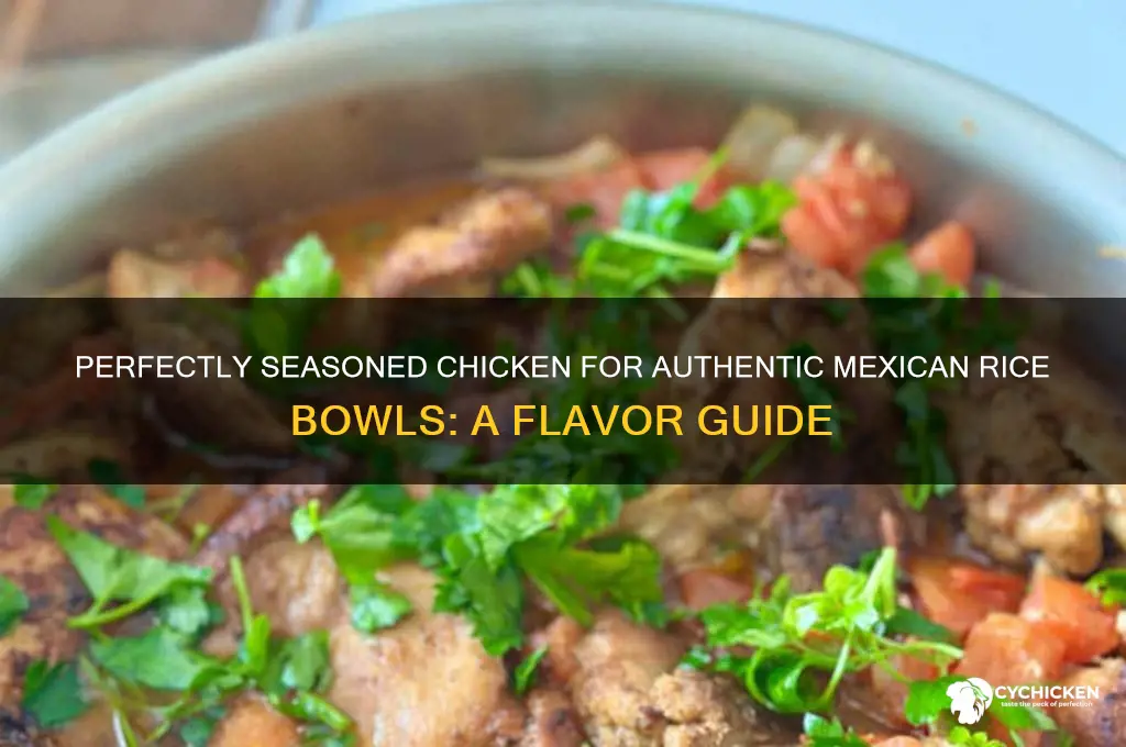 how to season chicken for mexican rice bowls