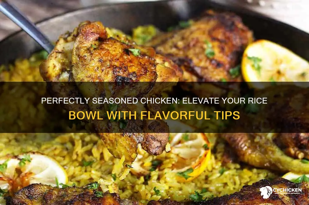 how to season chicken for rice bowl