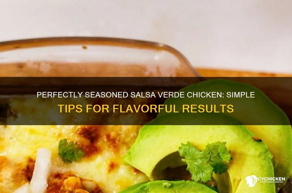 how to season chicken for salsa verde chicken
