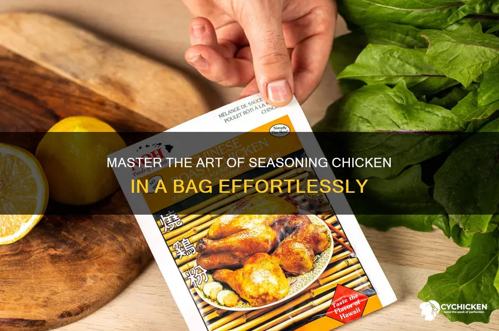 how to season chicken in a bag