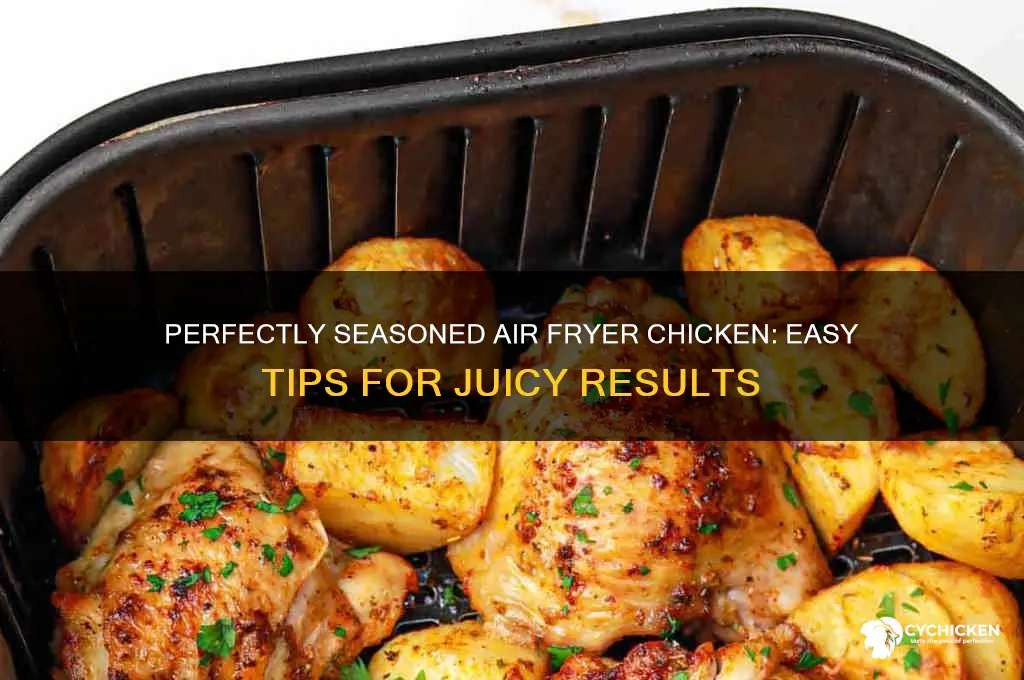 how to season chicken in air fryer