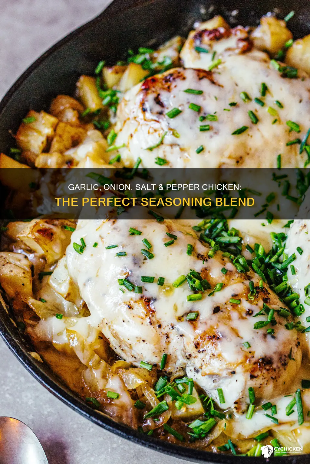 how to season chicken with garlic onion salt and pepper