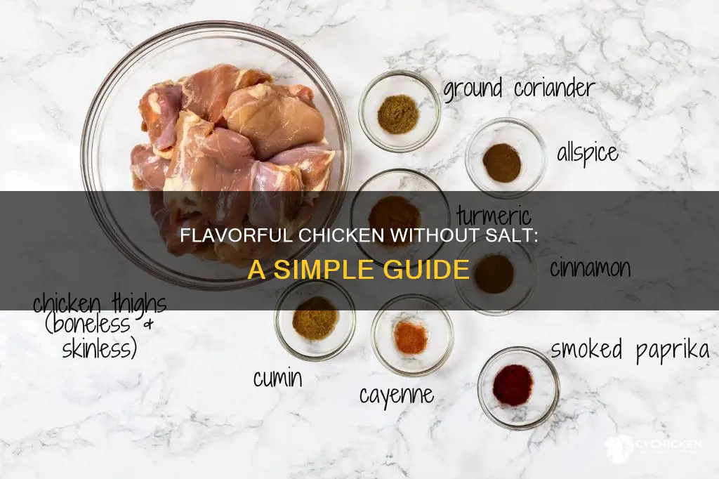 how to season chicken without salt and salt products