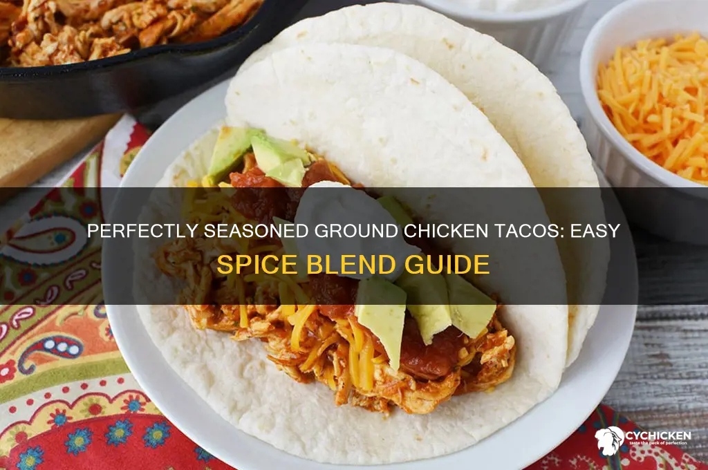 how to season ground chicken for tacos