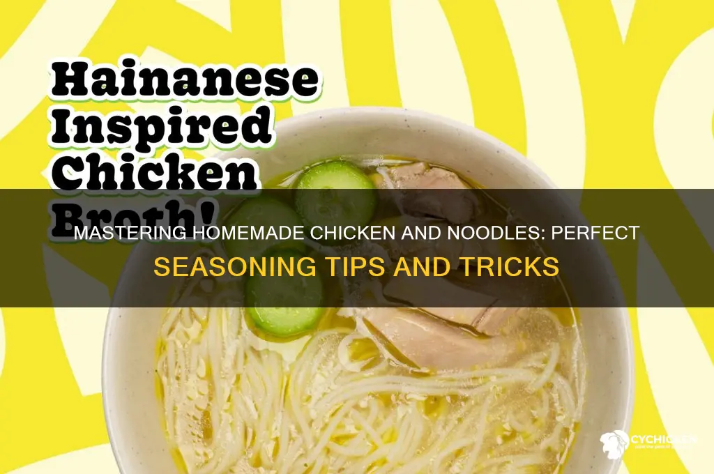 how to season homemade chicken and noodles
