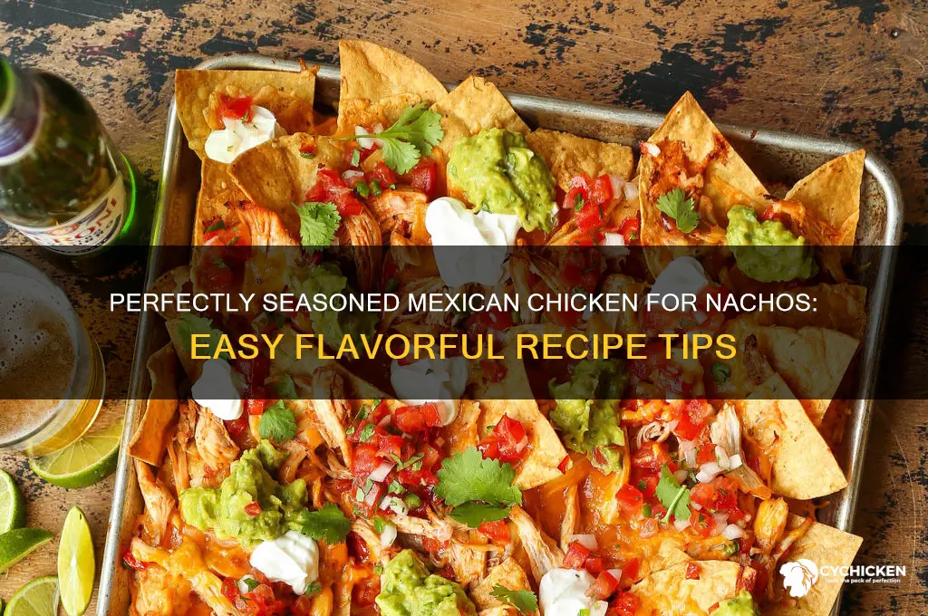 how to season mexican chicken for nachos