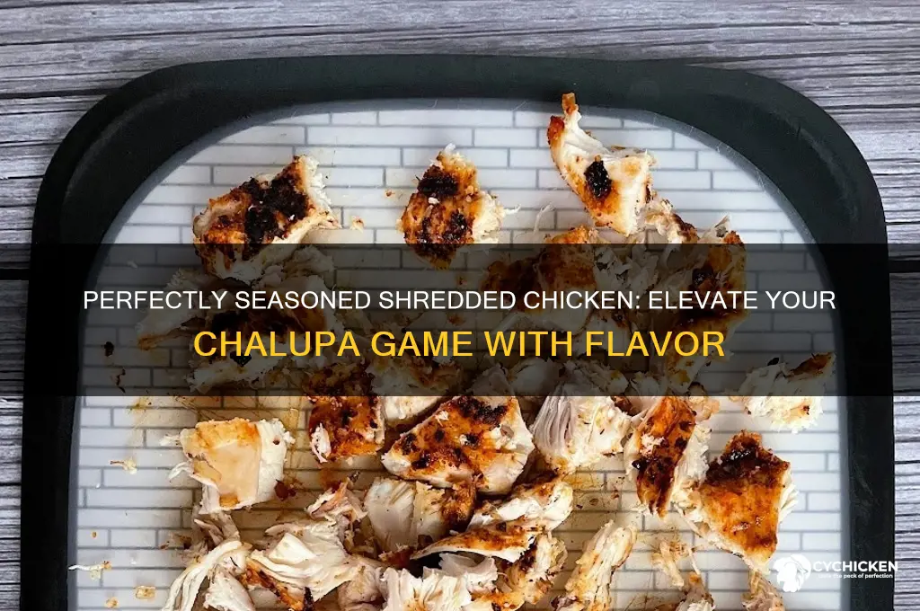 how to season shredded chicken for chalupas
