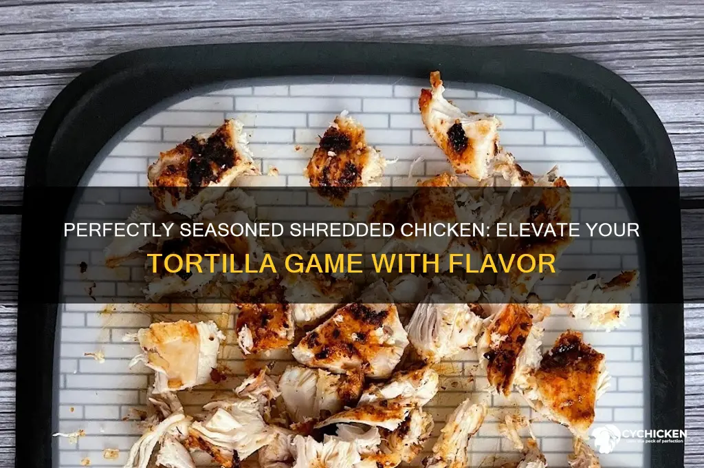 how to season shredded chicken for tortillas