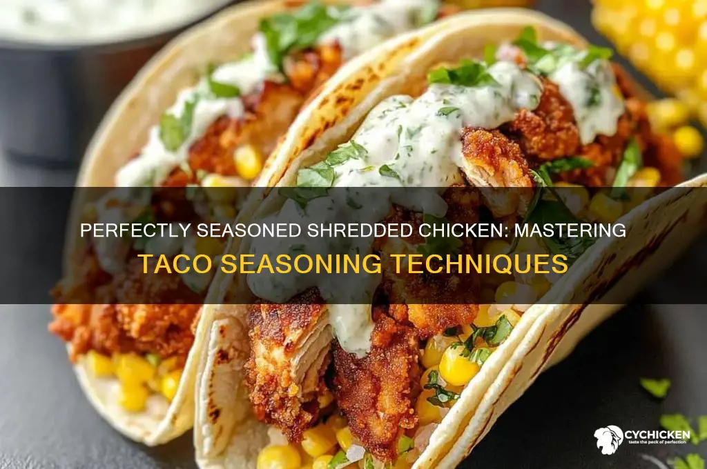 how to season shredded chicken with taco seasoning