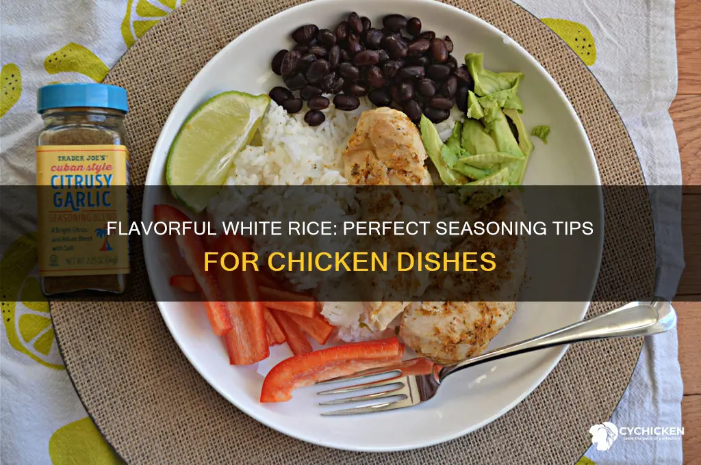 how to season white rice for chicken