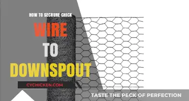 Secure Chicken Wire to Downspout: Easy DIY Protection Guide