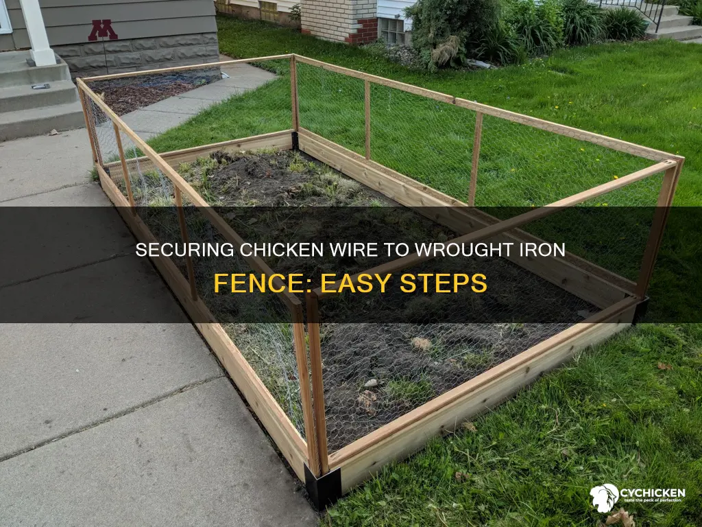 how to secure chicken wire to a wrought iron fence