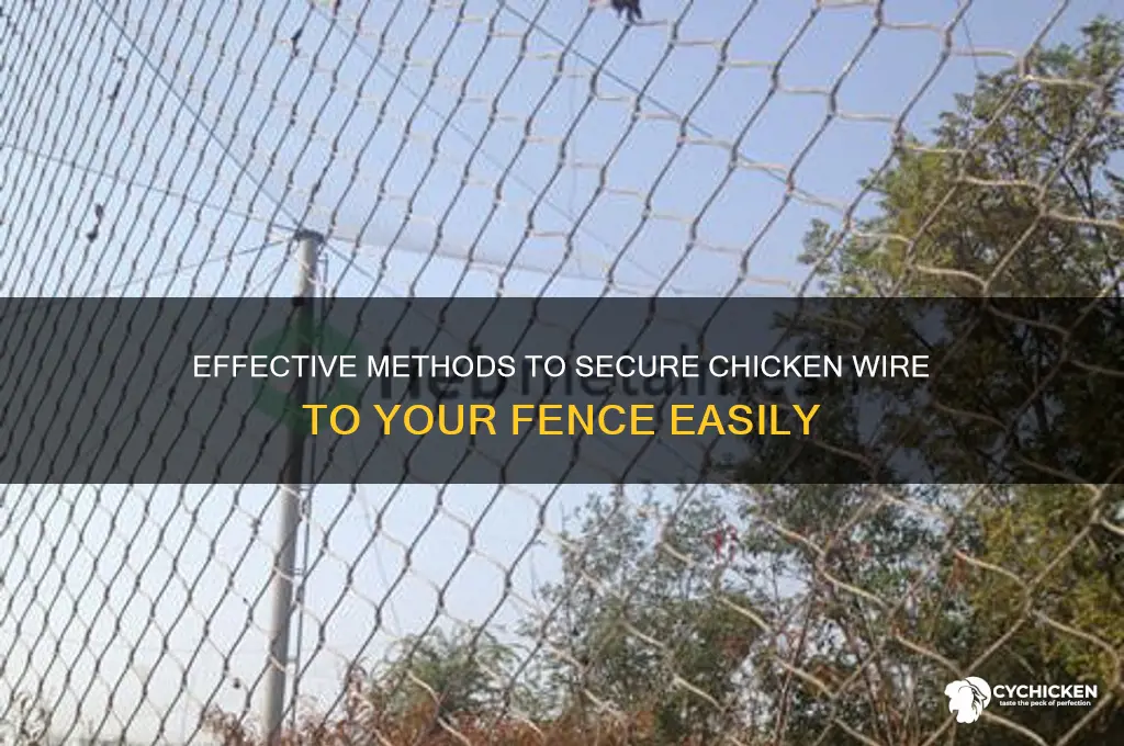 how to secure chicken wire to fence