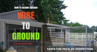 Effective Methods to Secure Chicken Wire to the Ground Safely