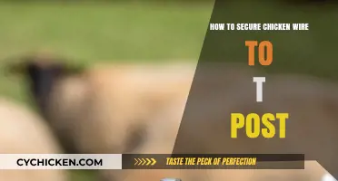 Secure Chicken Wire to T-Posts: A Step-by-Step Guide for Farmers