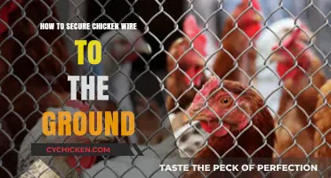 Effective Methods to Secure Chicken Wire to the Ground Safely