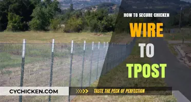 Easy Guide: Securing Chicken Wire to T-Posts for Durable Fencing