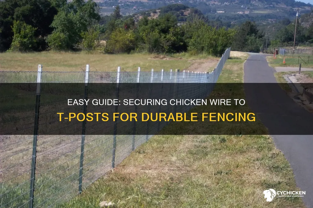 how to secure chicken wire to tpost