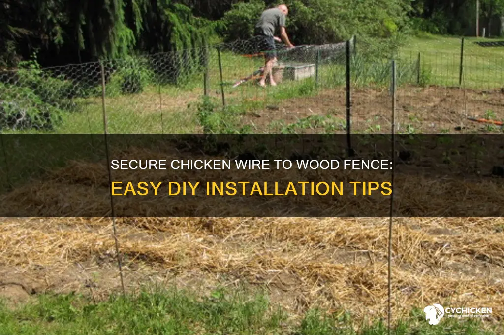 how to secure chicken wire to wood fence
