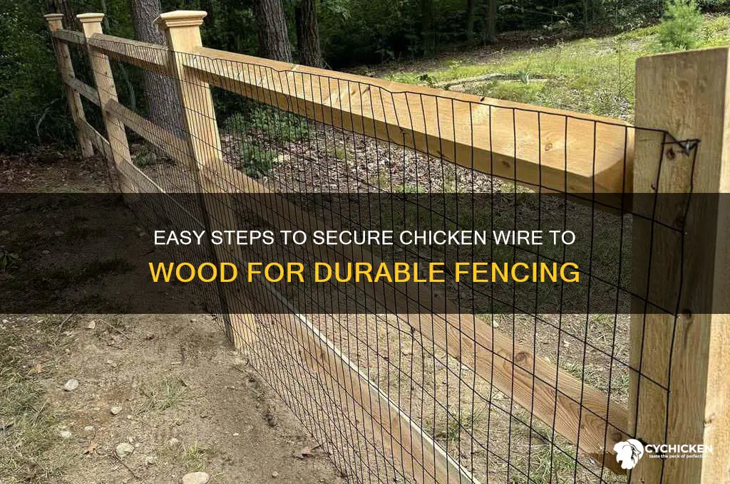 how to secure chicken wire to wood