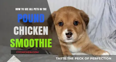 Explore the Pound: Find All Pets on Chicken Smoothie