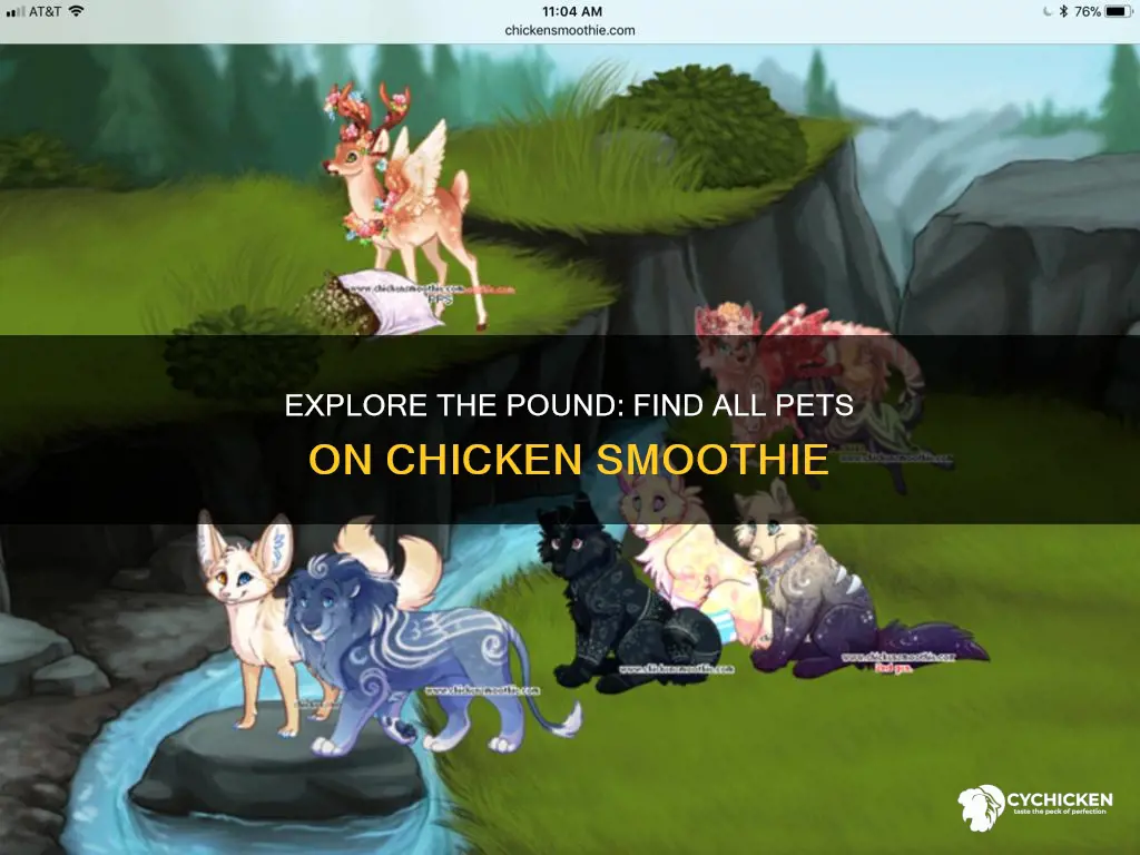 how to see all pets in the pound chicken smoothie
