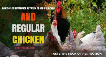 Organic vs Regular Chicken: Spot the Difference
