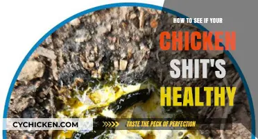 Decoding Your Chicken's Health: A Guide to Interpreting Droppings