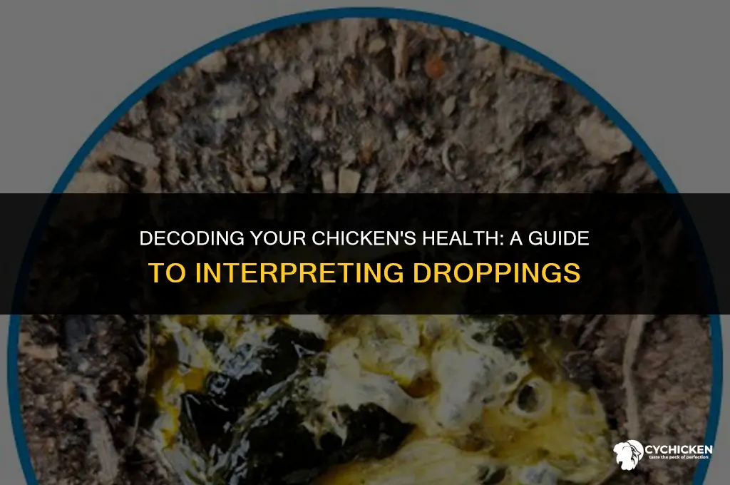 how to see if your chicken shit