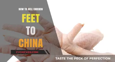Unlocking Profits: Mastering the Art of Selling Chicken Feet to China