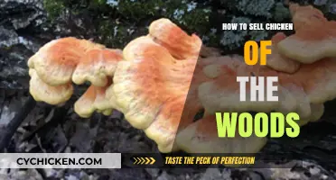 Selling Chicken of the Woods: Tips for Profitable Foraging and Marketing