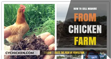 Turning Chicken Farm Manure into Profitable Organic Fertilizer: A Guide
