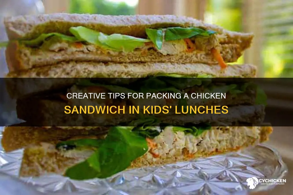 how to send a chicken sandwich in kids lnch
