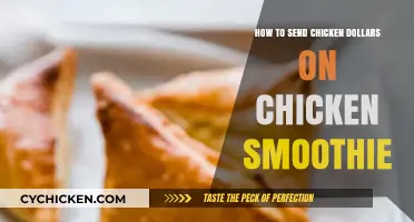 Send Chicken Dollars Easily: A Chicken Smoothie Guide