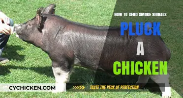 Mastering Smoke Signals and Chicken Plucking: A Survival Skills Guide