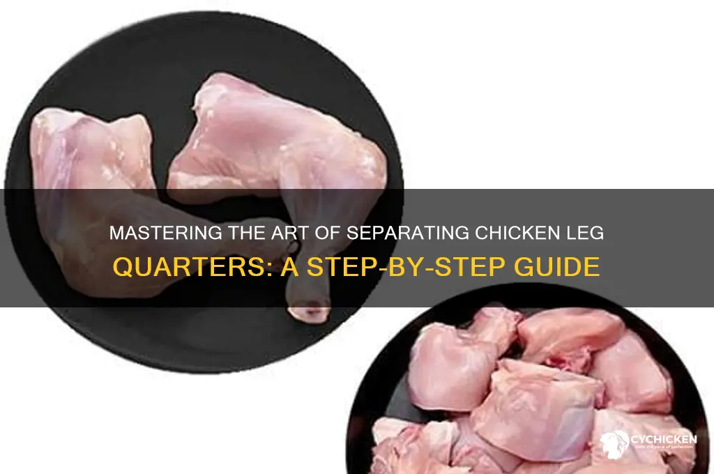 how to separate a chicken leg quarter